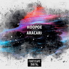 Hoopoe — Aracari