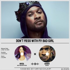 Don't Mess With My Bad Girl (No Chump Mashup)
