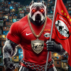 MC LEON - VEM MEU BEM NAS CASINHAS PAGA BEM  (( TROPA DAS CASINHAS ))