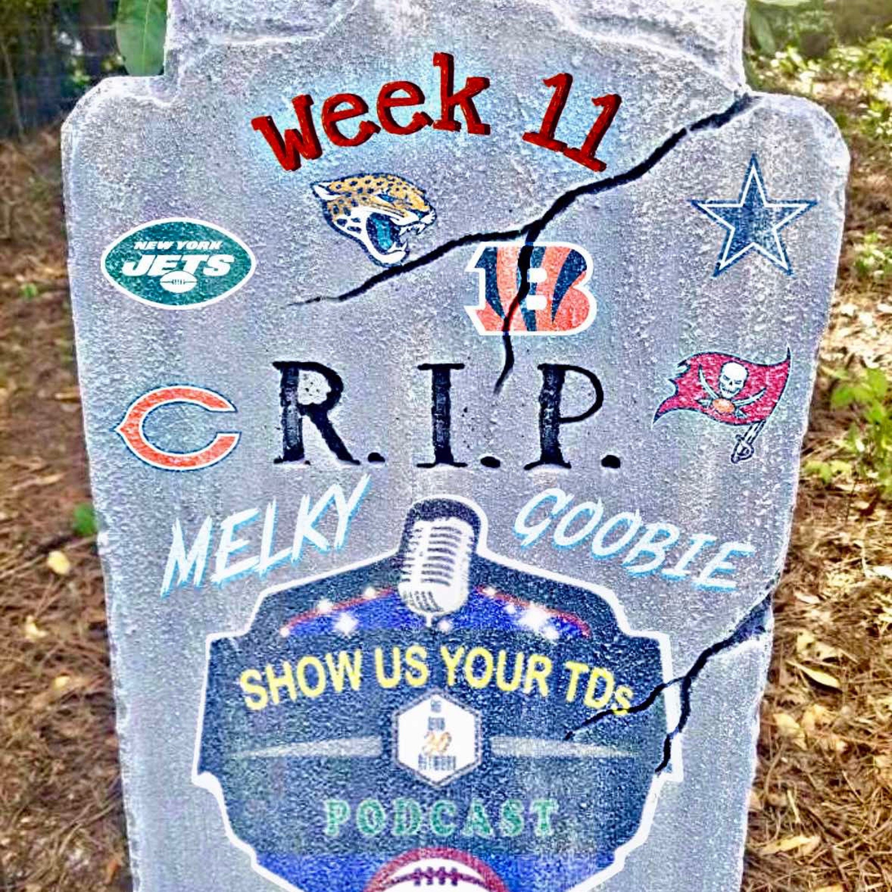 Show Us Your TDs S5 W11 - R.I.P. episode artwork