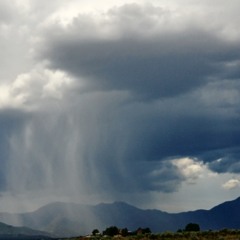 One Man's Twisted Mind