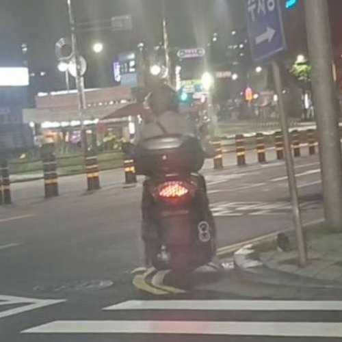 오늘의 리더는 나(마르코, 자콤)