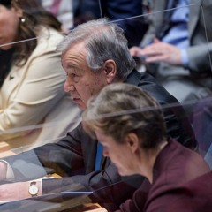 CLIP - UN Secretary-General's remarks at the Security Council Meeting on Ukraine