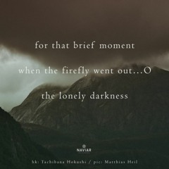 The Lonely Darkness [naviarhaiku390]