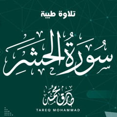 سورة الحشر - طارق محمد