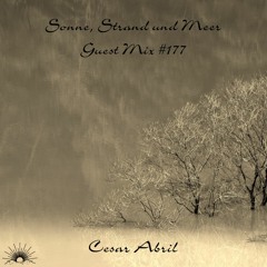 Sonne, Strand und Meer Guest Mix #177 by Cesar Abril