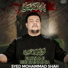 BABA NA JAO  --  Syed Mohammad Shah  --  Shahadat e Mola Ali (a.s)  --  2024