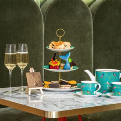 Best Natural History Museum London Afternoon Tea Tours Review