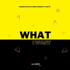 Hannah Wants & Chris Lorenzo ft. Sektic - What I Want  (HU Biss Edit)