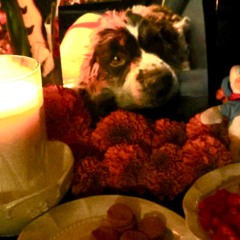 ALL DAWGZ GO TO HEAVEN (demo)