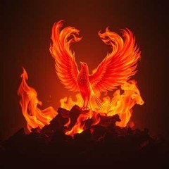 Fuel the Fire