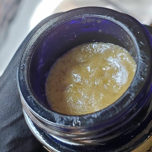 Mystic The Goat - Runtz and D8 ANTHEM