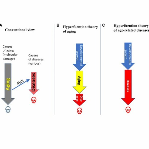 Towards Disease-Oriented Dosing of Rapamycin for Longevity