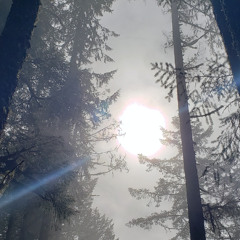 Between Materia and Aether