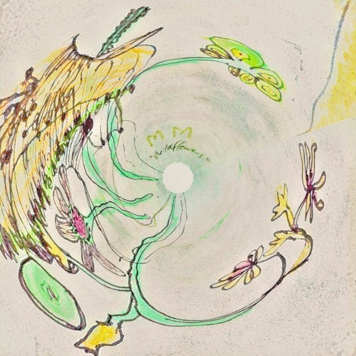 free form (𝘧𝘵. 𝘒𝘪𝘮) - 𝘱𝘳𝘰𝘥. 𝘚𝘵𝘰𝘪𝘤