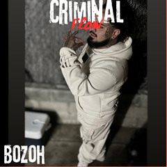 Criminal Flow
