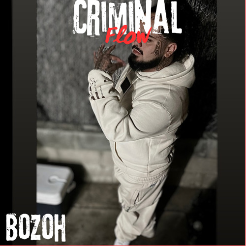 Criminal Flow