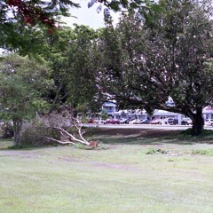 Wait A Little Longer