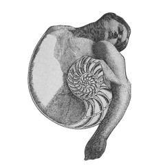 Øjebrist