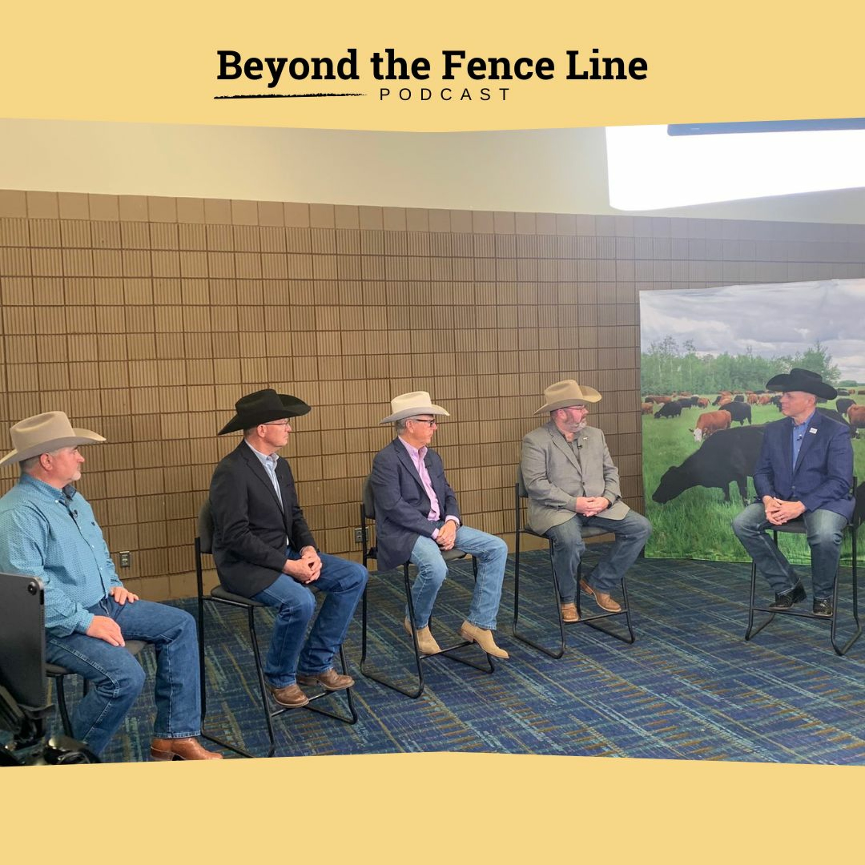 Episode 34 Beyond The Fence Line - Tools in the Toolbox episode artwork
