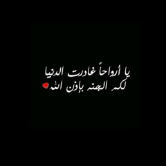 حقيقة الموت للشيخ نبيل العوضي