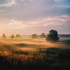 Shadows Over Time