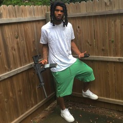 Trainko - 100 Roxies