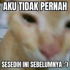 RINDU AKU RINDU KAMU [PLAT KT]