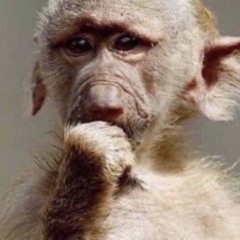 كيف أجاهد روح تشقى من غلاك؟
