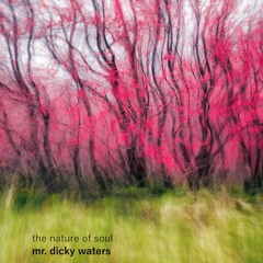 The Nature Of Soul {demo}