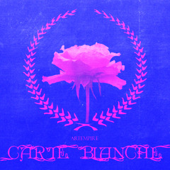 Carte Blanche (Seulgi K-pop rejected demo)