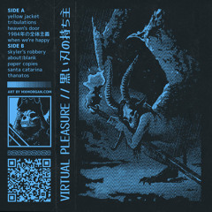 VIRTUAL PLEASURE - skyler's robbery