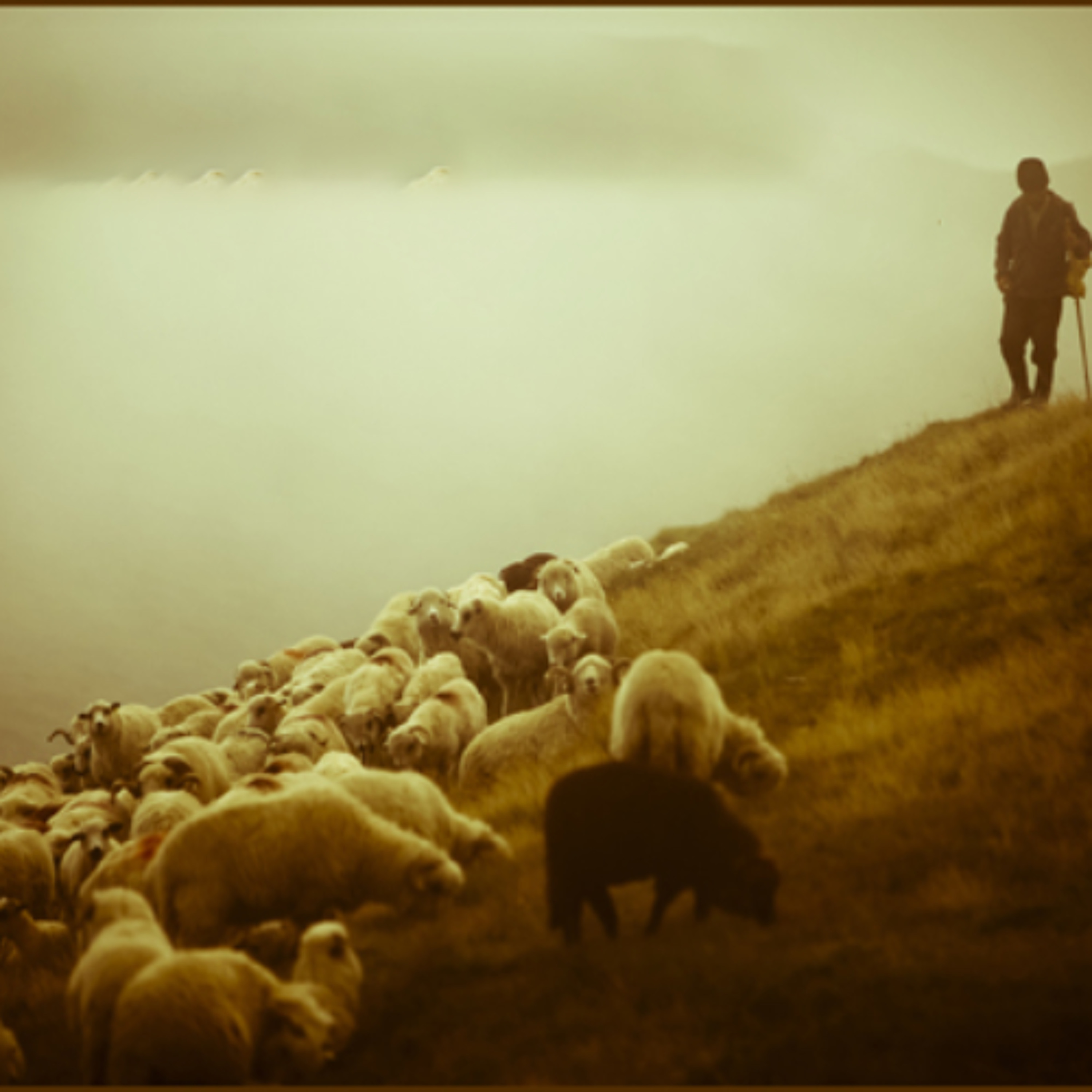 Pastor Charbel Louka - القس شربل لوقا