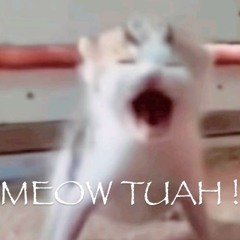 Meow Tuah! #Freakstation