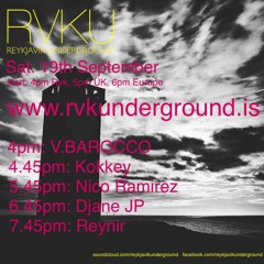 Reynir  Rvkunderground Sept 2020