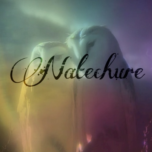 Me n dskii in the cut prod zyonova