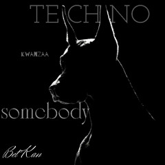 TECHNO MELODIC - SOMEBODY Set