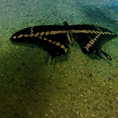 Evil Thoughts (April showers).m4a