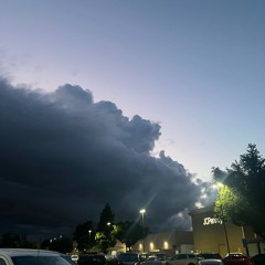 whyyyy W/ Fraino (888cole)