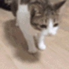 hi