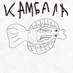 камбала