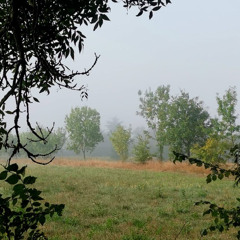 Quand viendra le printemps