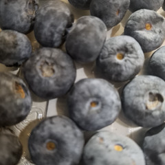 VOLDE&DOHCEG - BLUEBERRY