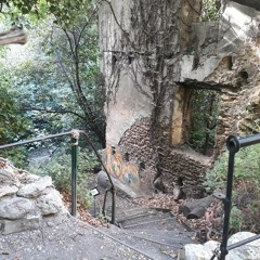 Traversée Du Ruisseau