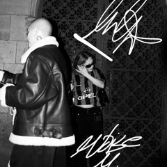 (PREVIEW) Salgo Pa La Calle (Remix) (Filtred For Copyright)