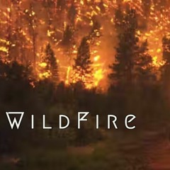 Wild Fire (ft Matt Woodmansee)