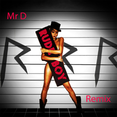 Mr D - Rude Remix !