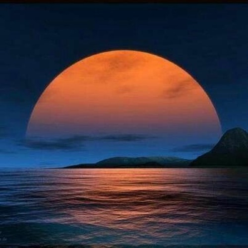 A Full Moon And A Dozen Roses