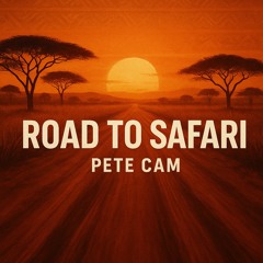 Road To Safari