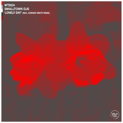 Smalltown DJs - Lonely Day (Edward White Remix)